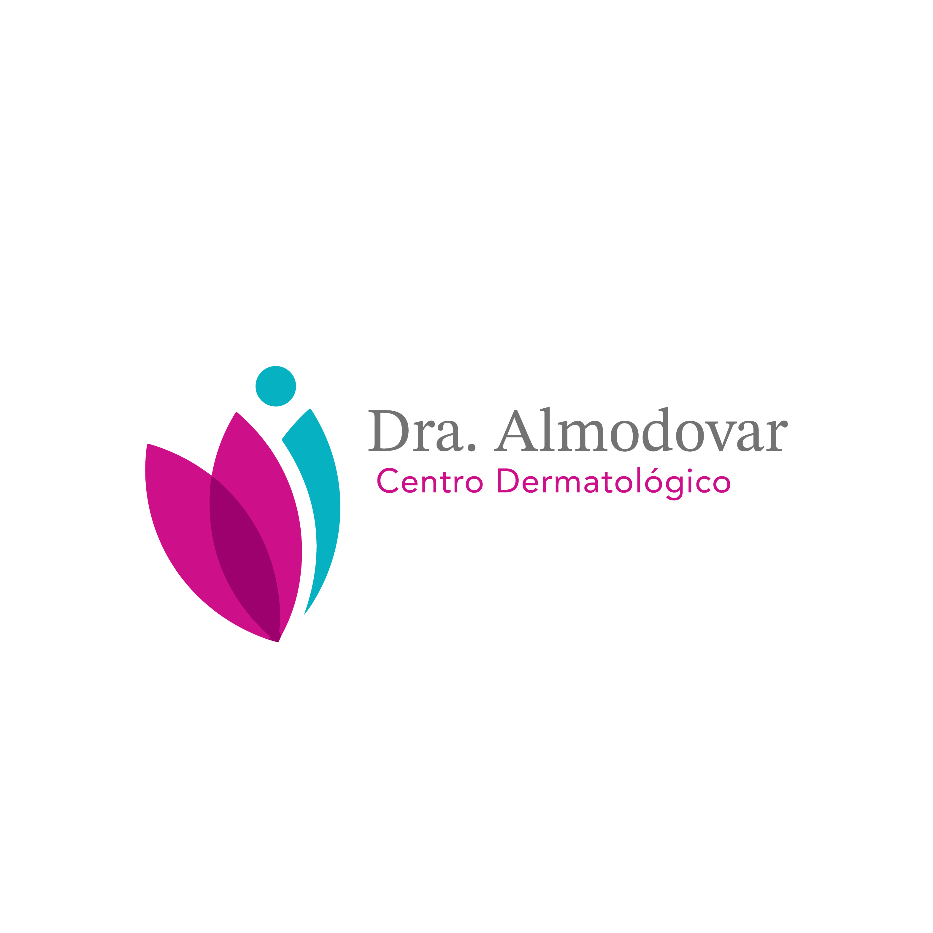 Logo Aliado