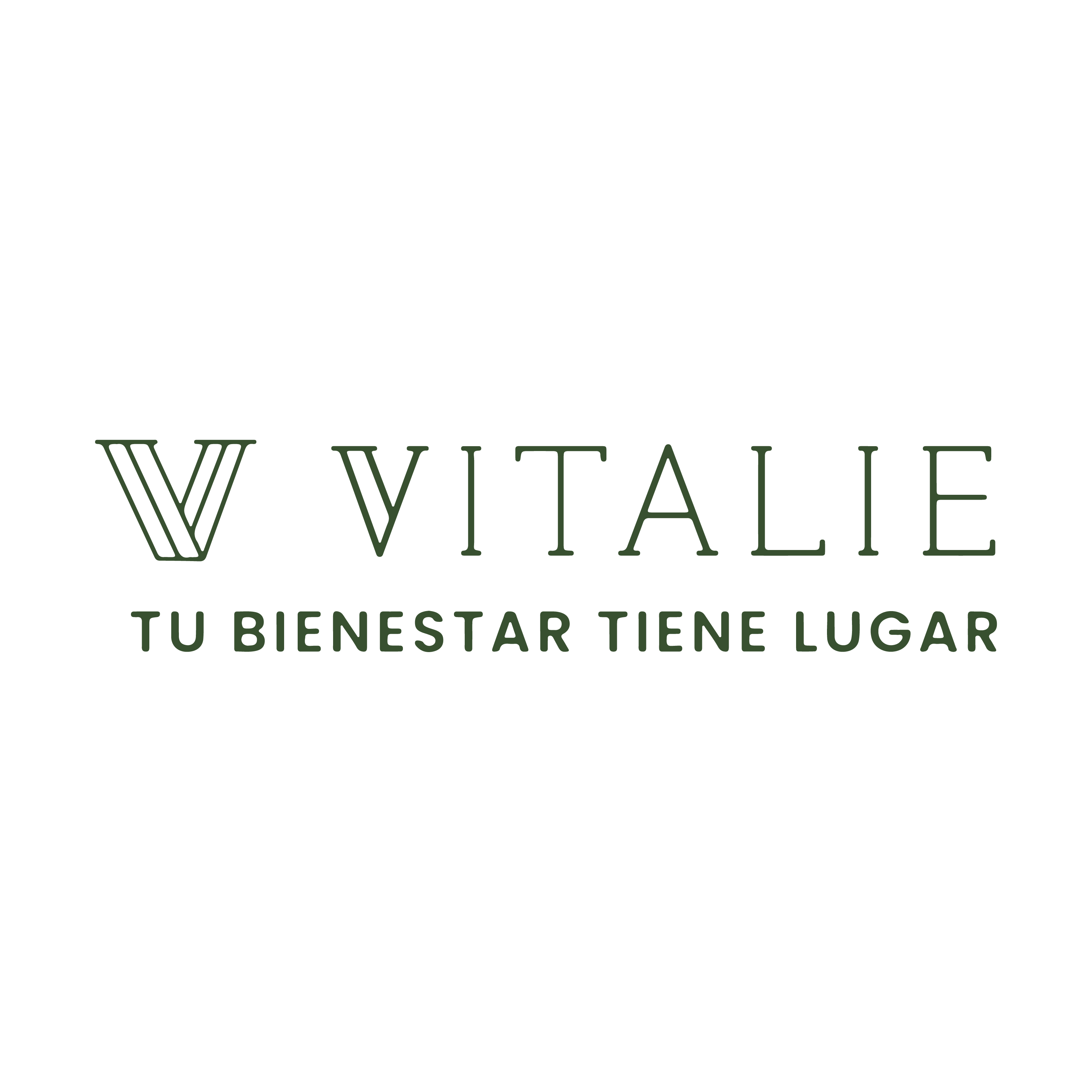 Logo Aliado