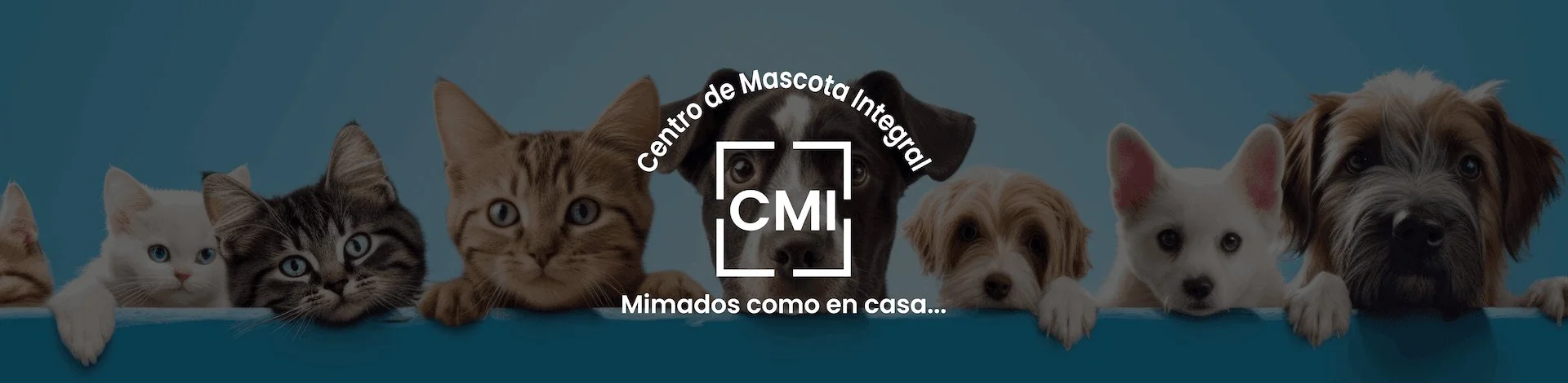 Banner de Oferta