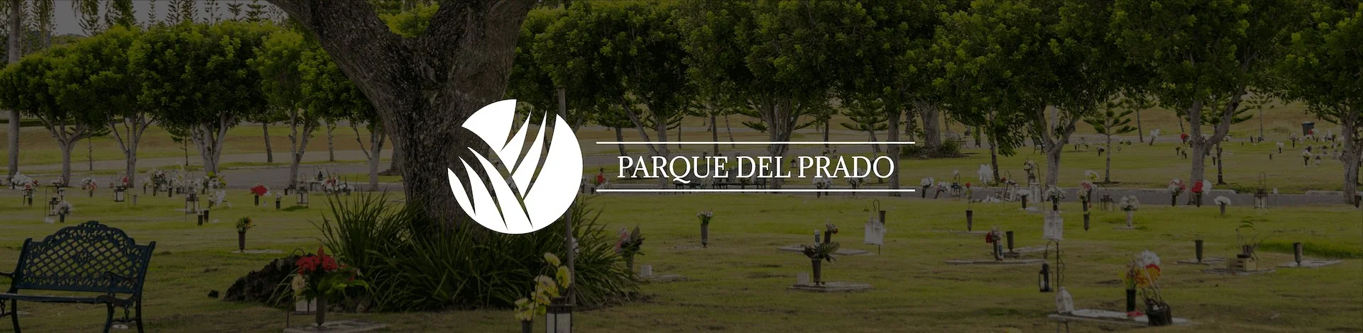 Banner de Oferta